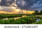 Sun rays shine through storm clouds over a green grassy wetland landscape.