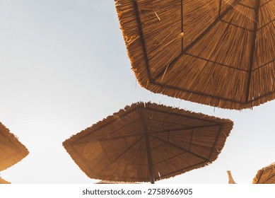 Sun rays shining through straw beach umbrellas at golden hour. Blurred, selective focus