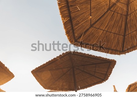 Sun rays shining through straw beach umbrellas at golden hour. Blurred, selective focus