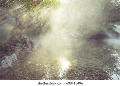 sun rays shining through trees on water surface on a foggy morning.