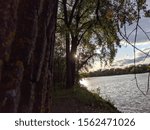 Sun rays from sunset beaming through the branches of a tree on the bank of a river with the sky above.