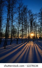 3,376 The setting sun through the trees Images, Stock Photos & Vectors ...