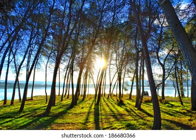 Sun rays through the trees at lake
