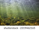 sun rays under water landscape, seascape fresh water river diving