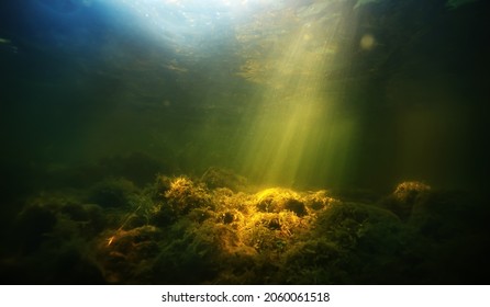 Sun Rays Under Water Landscape, Seascape Fresh Water River Diving