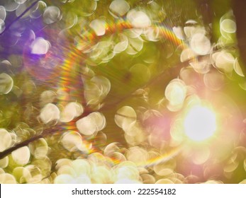 sun reflection in lens