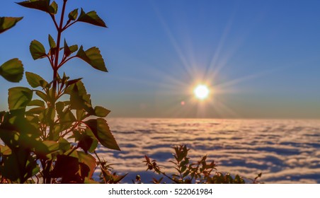 Sun Rise And Foggy,landscape