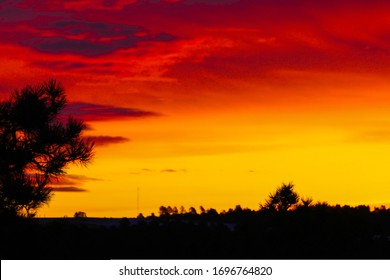 Sun Rise In The Nebraska National Forest. 