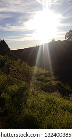 Sun Rise At Te Puke City