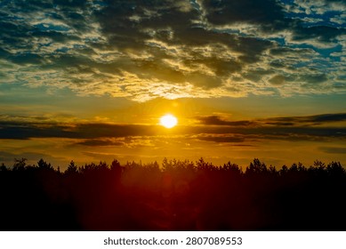 The sun rises behind a dark forest. The horizon is silhouetted by trees at sunrise.