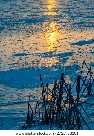 The sun rises and casts its light on the ice of Lake Defiance at Morrain Hills State Park in McHenry County, Illinois