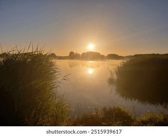 As the sun rises, its golden light casts a serene glow over a tranquil lake, reflecting brilliantly on the water. Reeds line the foreground, framing a view filled with the gentle mist of early morning - Powered by Shutterstock