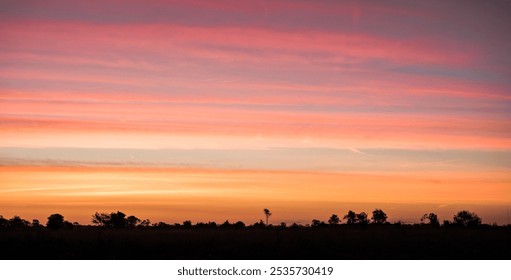 
The sun rises in a heathland area in the Netherlands - Powered by Shutterstock