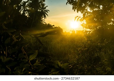 The sun rises over a field, casting light through trees. The sky brightens with shades of orange and yellow as day begins in a rural area.