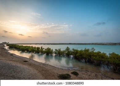 Sun rises over iconic Sir Bani Yas mangroves - Shutterstock ID 1080348890