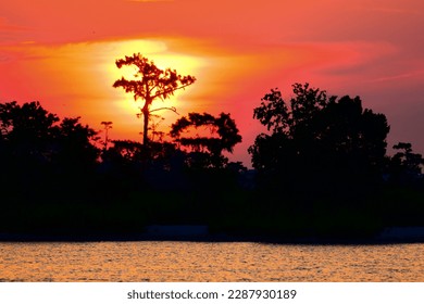 The sun rises over the Tchefuncte River creating a nice silhouette of some cypress trees lining the bank.