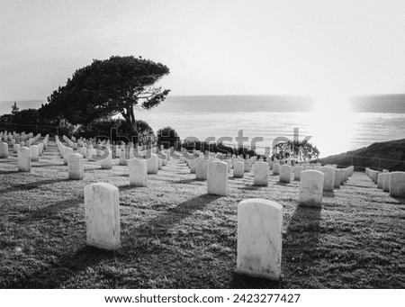 The sun rises at Rosecrans National Cemetery near San Diego, CA USA. An infrared filter was used on the photograph taken with a Canon EOS. Stock photo © 