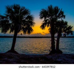 The Sun Rising Across The St Lucie River In Florida, Between The Palm Trees.