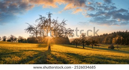 Similar – Image, Stock Photo The sun rises behind a concrete wall. The wall reads, “Enjoy more overtimes.”
