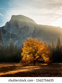 Sun Rising Behind Half Dome With Fall Colors