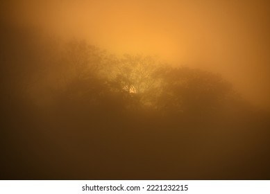 The Sun Rising Behind The Mist And The Rainforest In The Guaporé-Itenez River, Near The Ilha Das Flores, Rondonia State, Brazil, On The Border With The Beni Department, Bolivia