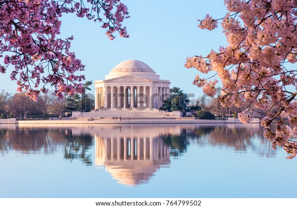 Cherry Blossoms surround the Jefferson Memorial in Washington DC stock photo
