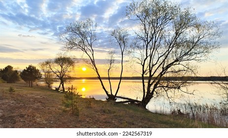 The sun rising over the forest on the far shore of the lake shines through the clouds. Grass, pines, and willows grow on the shore, and reeds stand in the water. The colorful sky - Shutterstock ID 2242567319