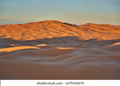 Sun, sands and golden colors in the desert. Desert landscape photo was taken in Erg Chebbi near Merzouga, Saharan Morocco. - Shutterstock ID 1479242474