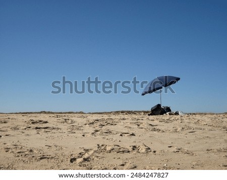 Similar – costa Sunbathing Beach