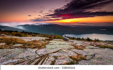 Sun Set In Acadia National Park, Cadillac Mountain