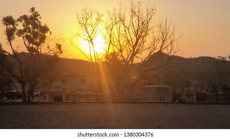 sun set behind the tree