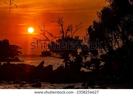 sun set over horizon made sihouette of an island and tree