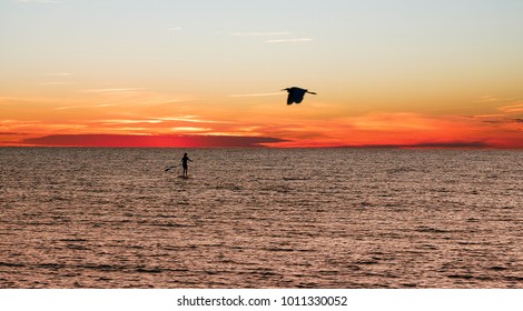 sun set paddle board