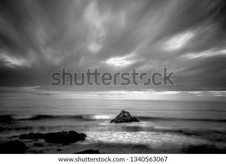 Similar – Image, Stock Photo roaming the beach 2 Nature