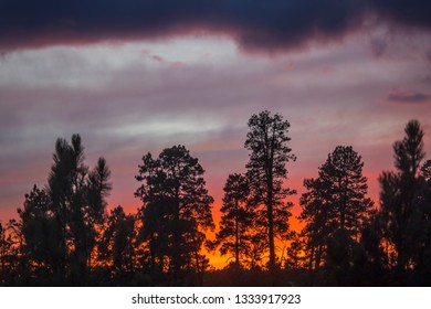 The Sun Sets Along The Kolob Terrace Area Of Zion National Park, Utah