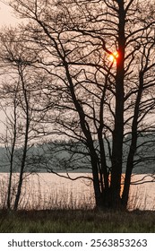The sun sets behind bare trees near a serene lake, casting warm hues over the water. Springtime in Sweden brings a peaceful atmosphere as nature awakens.