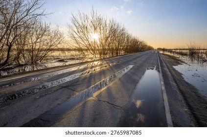 Sun sets behind leafless trees lining a wet road. Water pools reflect the sky and fading light