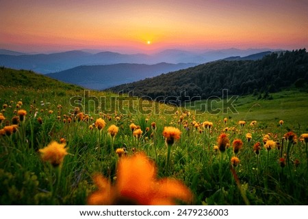 Similar – Image, Stock Photo Landscape image of a straight shallow river or canal lined with tall trees on the banks