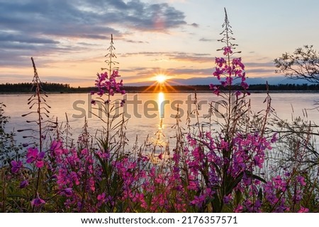 The sun sets behind the Talkeetna Mountains along the Knik River near Palmer, Alaska, as fireweed blooms fill the foreground.