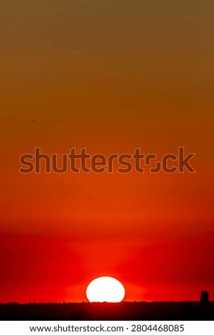 Sun sets below horizon, glowing red-orange sky. Silhouette of distant trees and structures. Calm, peaceful atmosphere. Great for travel, nature, or relaxation themes. Ideal for websites, brochures