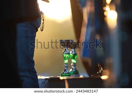 The sun sets casting a warm glow on a trophy, highlighting the moment of achievement at an awards ceremony
