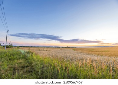 As the sun sets, golden light bathes the open fields, creating a tranquil atmosphere with wispy clouds and power lines tracing the horizon. - Powered by Shutterstock