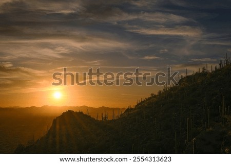The sun sets majestically over a desert scene, casting orange glows over silhouetted Saguaro cacti and rolling hills, creating a serene and breathtaking vista.