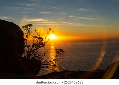 As the sun sets on the horizon, warm golden light reflects off the ocean's surface, creating a serene atmosphere with a silhouetted shrub on the rocky shore. - Powered by Shutterstock