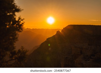 The sun sets over Arizona's Grand Canyon, casting a golden glow on rugged cliffs. Sunlight streams through gaps, with blurred vegetation in the foreground. - Powered by Shutterstock