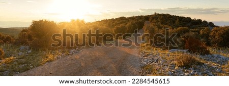 The sun sets over a country road. Mediterranean vegetation