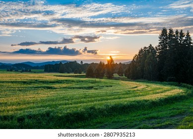 The sun sets over green fields in Sweden. Trees line the edges of the fields. Mountains are visible in the distance. The sky has clouds and colors from the setting sun.