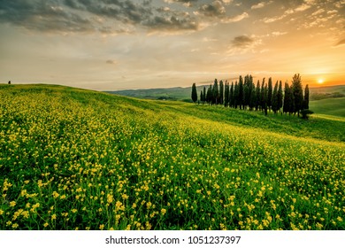 The sun sets over a pristine green field in Tuscany