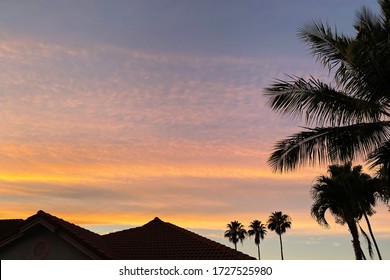 The Sun Sets Over A South Florida Neighborhood Lined With Palm Trees. The Stratocomulus Clouds Turn A Burnt Orange As The Sun Goes Down. 