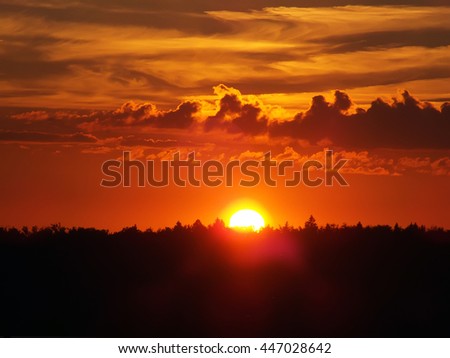 sun sets over the tops of forest trees in clouds
